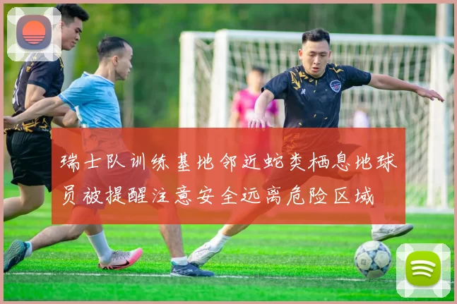瑞士队训练基地邻近蛇类栖息地球员被提醒注意安全远离危险区域