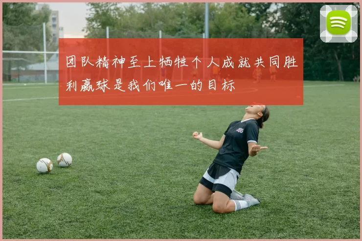 团队精神至上牺牲个人成就共同胜利赢球是我们唯一的目标