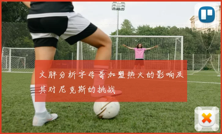 文胖分析字母哥加盟热火的影响及其对尼克斯的挑战
